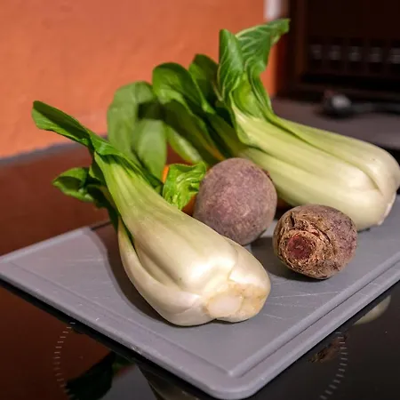 Rote Haus - Hohnemichels ボッパルト